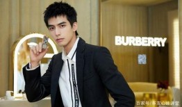 一个圈内爆料的宋威龙,圈内爆料揭示明星背后的故事