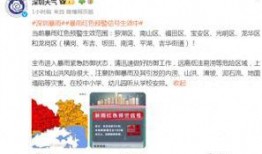 深圳网友伍先生爆料视频,揭秘事件背后惊人真相